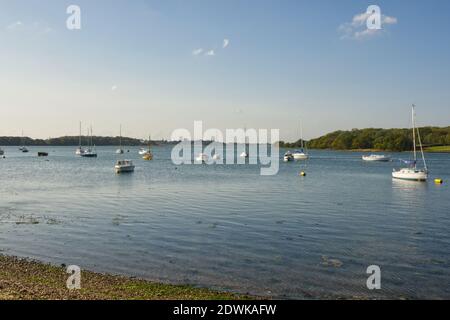 Barche ormeggiate a Dell Quay nel porto di Chichester, West Sussex, Inghilterra Foto Stock