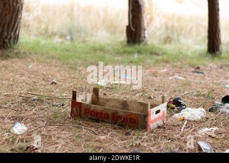 Spazzatura gettata via in natura, problemi ambientali. Concetto di disastro della natura Foto Stock