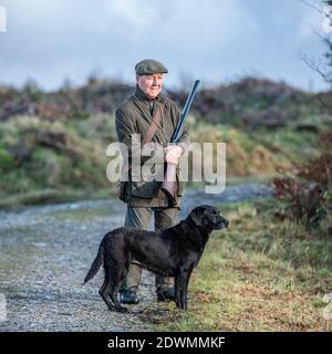 uomo con fucile e labrador su un fagiano sparare Foto Stock