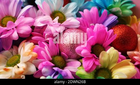 Arcobaleno Daisies. Fiore arcobaleno. Bouquet di fiori arcobaleno in fiore, fuoco selettivo. Multi colorato Daisy fiori motivo sfondo Foto Stock