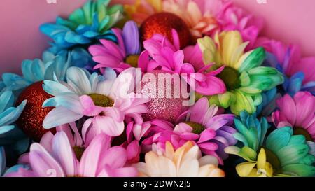 Arcobaleno Daisies. Fiore arcobaleno. Bouquet di fiori arcobaleno in fiore, fuoco selettivo. Multi colorato Daisy fiori motivo sfondo Foto Stock