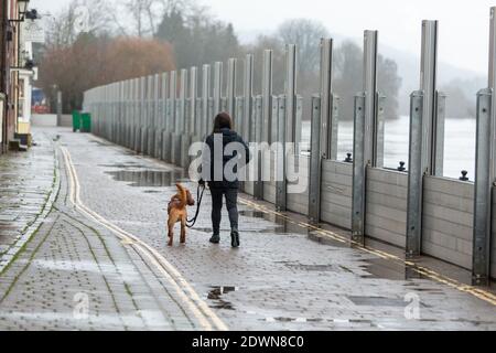 Bewdley, Worcestershire, Regno Unito. 23 dicembre 2020. Appena due giorni prima di Natale la pioggia recente ha aumentato il livello del fiume Severn a Bewdley, Worcestershire. L'Agenzia per l'ambiente sta erigendo barriere per proteggere le proprietà e le imprese dalle inondazioni. Più pioggia è sulla relativa strada nei due giorni prossimi. Credit: Peter Lopeman/Alamy Live News Foto Stock