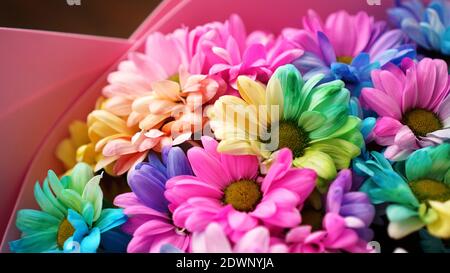 Primo piano fiori fiori arcobaleno fiori bouquet luminoso Foto Stock
