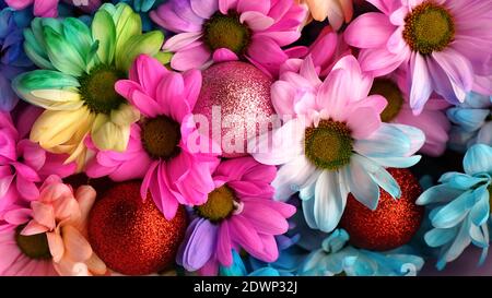 Arcobaleno Daisies. Fiore arcobaleno. Bouquet di fiori arcobaleno in fiore, fuoco selettivo. Multi colorato Daisy fiori motivo sfondo Foto Stock