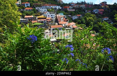 Madeira Hillside villaggio vista dalla passeggiata levada con fiori Agapanthus. Foto Stock