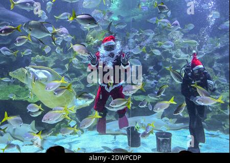 Kuala Lumpur, Malesia . 23 dicembre 2020. Un subacqueo vestito da Babbo Natale ondeggia ai visitatori durante uno spettacolo all'Aquaria KLCC Aquarium a Kuala Lumpur, Malesia, 23 dicembre 2020. (Foto di Chong Voon Chung/Xinhua) Credit: Xinhua/Alamy Live News Foto Stock