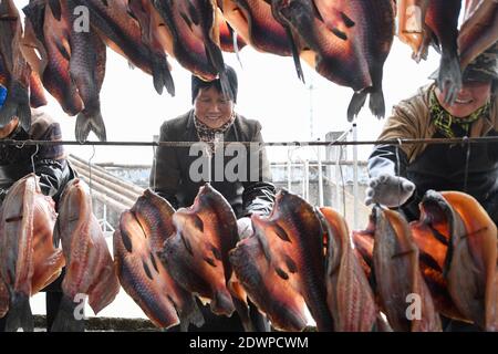 Huzhou, provincia cinese di Zhejiang. 23 dicembre 2020. La gente secca pesce in Linghu Township di Huzhou, la provincia di Zhejiang della Cina orientale, 23 dicembre 2020. Credit: Huang Zongzhi/Xinhua/Alamy Live News Foto Stock