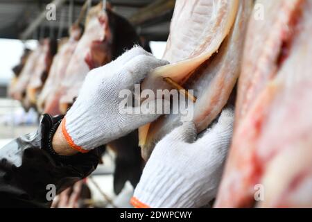 Huzhou, provincia cinese di Zhejiang. 23 dicembre 2020. Una pescatrice asciuga il pesce a Linghu Township di Huzhou, provincia di Zhejiang della Cina orientale, 23 dicembre 2020. Credit: Huang Zongzhi/Xinhua/Alamy Live News Foto Stock