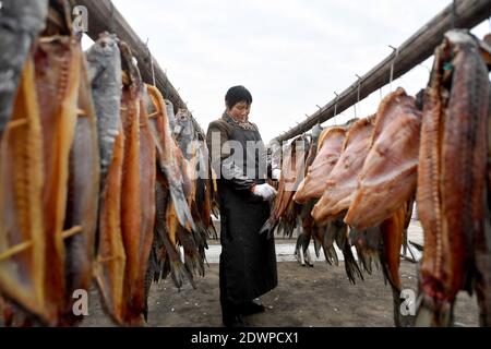 Huzhou, provincia cinese di Zhejiang. 23 dicembre 2020. Una pescatrice asciuga il pesce a Linghu Township di Huzhou, provincia di Zhejiang della Cina orientale, 23 dicembre 2020. Credit: Huang Zongzhi/Xinhua/Alamy Live News Foto Stock