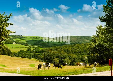 Vista sulla campagna vicino Lanhydrock House e Giardino. Foto Stock