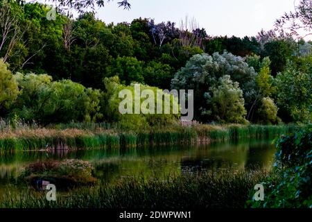 Fuga dalla natura Foto Stock