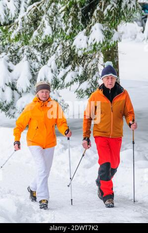 coppia anziana sull'esercizio nordico walking nella natura del vino Foto Stock