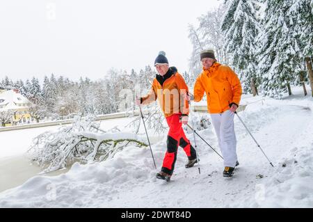 coppia anziana sull'esercizio nordico walking nella natura del vino Foto Stock