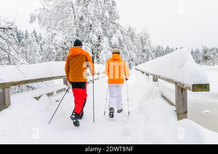 coppia anziana sull'esercizio nordico walking nella natura del vino Foto Stock