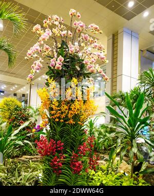 La sala partenze giardini e architettura del paesaggio all'interno di Singapore Changi International Airport, Singapore, Sud-est asiatico Foto Stock