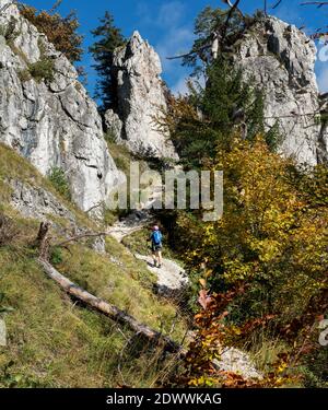 Giovane escursionista zaino in spalla donna sul percorso escursionistico con una passeggiata in montagna utilizzando i bastoni da trekking godendo della natura autunno con enormi e pittoreschi clifs, slovacco Foto Stock