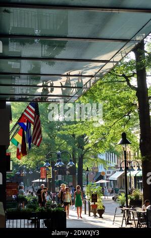 Centro commerciale del centro storico, Charlottesville, Virginia, Stati Uniti Foto Stock