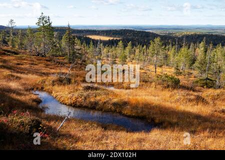 Un'antenna di famose torbiere sospese nel Parco Nazionale di Riisitunturi, nel mezzo delle foreste di taiga della Finlandia Norhern. Foto Stock