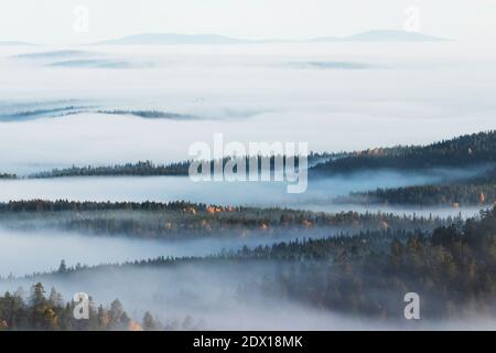 Grandi campane in nebbia durante una mattina nel nord della Finlandia in autunno. Foto Stock