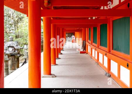 La Shiratani Unsuikyo Ravine in primavera a Jana Foto Stock
