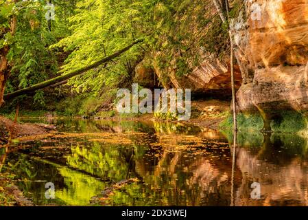 circondato da boschi, la ripida riva del fiume con la calma acqua fluente passato, in cui la bellezza naturale circostante può essere visto come un riferimento Foto Stock
