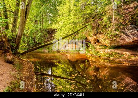 circondato da boschi, la ripida riva del fiume con la calma acqua fluente passato, in cui la bellezza naturale circostante può essere visto come un riferimento Foto Stock