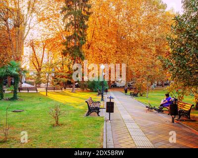 Vicolo pedonale con panchine lungo un prato verde e alberi con fogliame giallo intorno Foto Stock