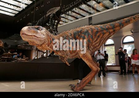 Hunter, il museo di storia naturale della contea di Los Angeles (NHM), dinosauro giovanile residente, incontra Baby T of Walking con Dinosauri - l'Arena Spectacular, presso il Museo di storia naturale della contea di Los Angeles, a Los Angeles, CA, USA il 27 agosto 2014. Foto di Julian da Costa/ABACAPRESS.COM Foto Stock