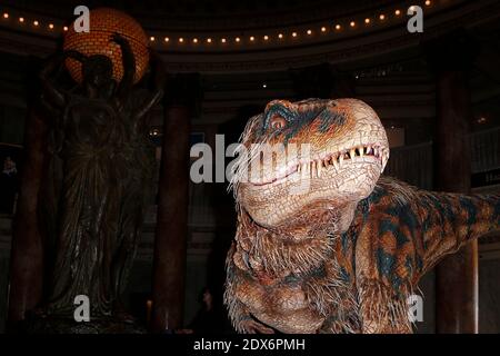 Hunter, il museo di storia naturale della contea di Los Angeles (NHM), dinosauro giovanile residente, incontra Baby T of Walking con Dinosauri - l'Arena Spectacular, presso il Museo di storia naturale della contea di Los Angeles, a Los Angeles, CA, USA il 27 agosto 2014. Foto di Julian da Costa/ABACAPRESS.COM Foto Stock