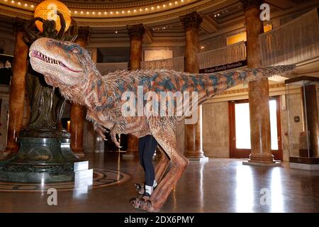 Hunter, il museo di storia naturale della contea di Los Angeles (NHM), dinosauro giovanile residente, incontra Baby T of Walking con Dinosauri - l'Arena Spectacular, presso il Museo di storia naturale della contea di Los Angeles, a Los Angeles, CA, USA il 27 agosto 2014. Foto di Julian da Costa/ABACAPRESS.COM Foto Stock