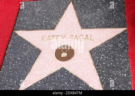 Katey Sagal è insignito di una stella sulla Hollywood Walk of Fame, a Los Angeles, California, USA, il 9 settembre 2014. Foto di Julian da Costa/ABACAPRESS.COM Foto Stock