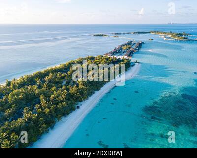 Maldive, Atollo di Kaafu, veduta aerea del verde boschetto sull'isola di Huraa Foto Stock