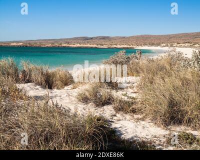 Jurabi Beach, Ningaloo Marine Park, Coral Coast, Australia Occidentale Foto Stock