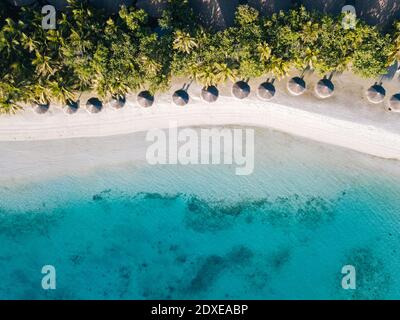 Maldive, Atollo di Kaafu, Hudhuranfushi, veduta aerea della fila di capanne lungo la spiaggia costiera sabbiosa dell'isola di Hudhuranfushi Foto Stock