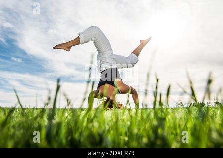 Giovane sportivo che pratica la carrola sull'erba nel parco Foto Stock