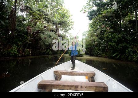 Uomo Guarani anziano in canoa sul fiume Napo, Ecuador Foto Stock