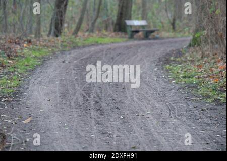 Amburgo, Germania. 21 Dic 2020. Piste ciclabili e pedalate possono essere viste su un sentiero fangoso forestale. Credit: Jonas Walzberg/dpa/Alamy Live News Foto Stock