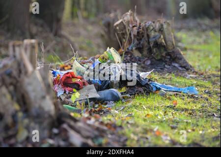 Amburgo, Germania. 21 Dic 2020. Un mucchio di rifiuti si trova sulla riva dell'erba ai margini di una riserva naturale. Credit: Jonas Walzberg/dpa/Alamy Live News Foto Stock