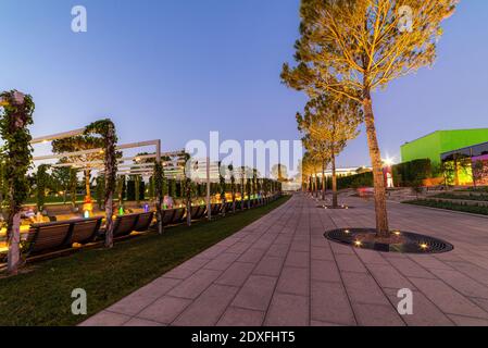 Acero vicolo in giardino francese nel paesaggio pubblico parco cittadino Krasnodar o Galitsky parco . Panchine di legno circolare marrone intorno agli alberi di acero. Foto Stock