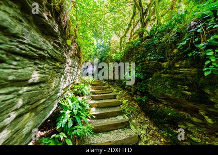 Scale di pietra nella foresta misteriosa. Sentiero per escursioni a piedi. Foto Stock