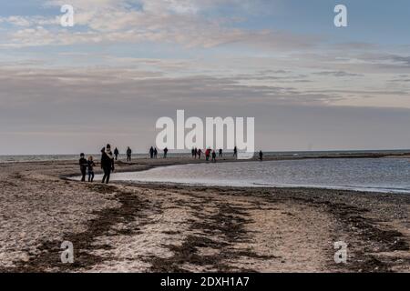 Falsterbo, Svezia - 15 novembre 2020: La gente sta camminando in una riserva naturale per vedere una colonia di foche del porto. Molti godono la natura mentre mantengono la distanza sociale durante i tempi della corona Foto Stock