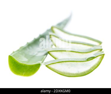 Aloe vera - foglie verdi e drive isolato su bianco sfondo Foto Stock