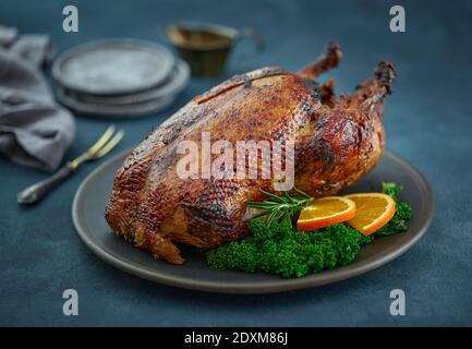 arrosto di anatra appena tostato su fondo blu intenso Foto Stock