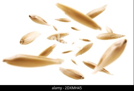 I grani di avena levitano su uno sfondo bianco Foto Stock