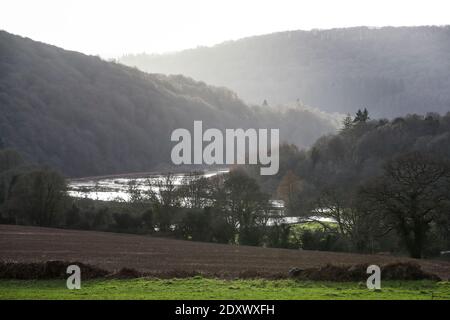 Il fiume Wye esplode la sua riva in un'inondazione notturna lungo la Wye Valley, Galles. I livelli del fiume possono ancora diventare più alti. Foto Stock