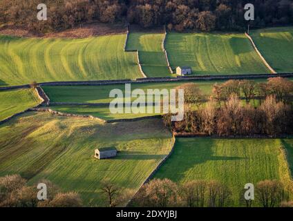 Il basso sole invernale mette in risalto i vecchi granai in pietra e le pareti in pietra arida sparse intorno a Littondale nel Parco Nazionale delle Valli dello Yorkshire. Foto Stock