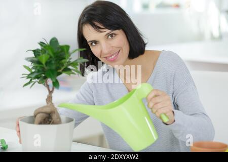 Donna spruzza acqua su albero di bonsai e sorrisi Foto Stock