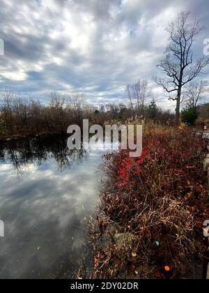 Spettacolare cielo autunnale sopra il corso d'acqua a Prospect Park, Brooklyn, New York. Foto Stock