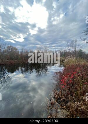 Spettacolare cielo autunnale sopra il corso d'acqua a Prospect Park, Brooklyn, New York. Foto Stock