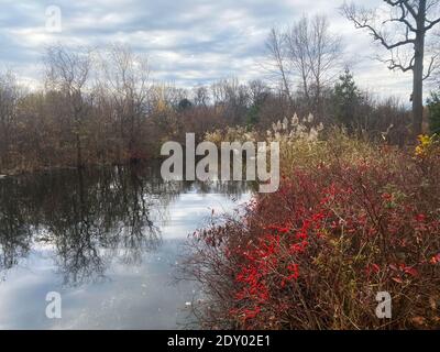 Spettacolare cielo autunnale sopra il corso d'acqua a Prospect Park, Brooklyn, New York. Foto Stock